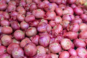 Young fresh red onion on market, new harvest, close up