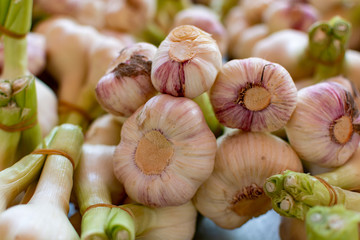 Bulbs of young new fresh garlic on market close up