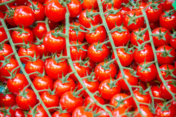Tomatoes at the market display stall