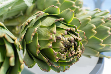 Bunch of fresh raw artichokes heads from artichoke plantation in Argolida, Greece ready to cook