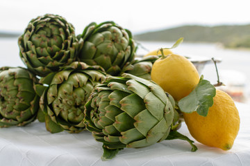 Obraz premium Bunch of fresh raw artichokes heads from artichoke plantation in Argolida, Greece ready to cook with lemon