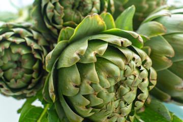 Bunch of fresh raw artichokes heads from artichoke plantation in Argolida, Greece ready to cook