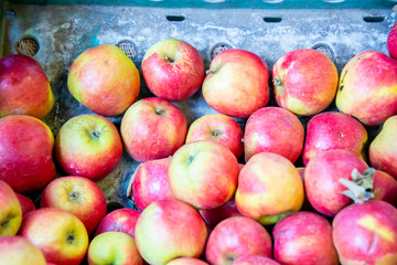 Apples at the market display stall