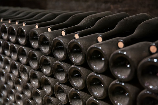 Row of wine bottles at winery