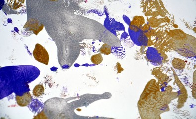 Gold blue white paint spots, abstract vivid watercolor background