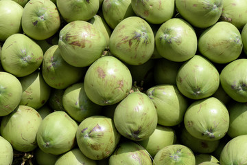 Closeup of green coconut heap