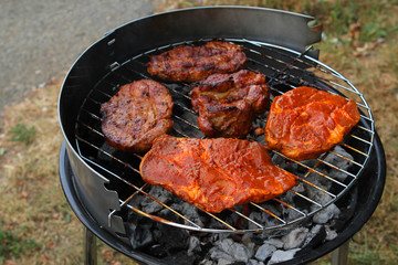 beautiful juicy, raw grilled meat is fried in an open grill on hot coals, horizontal