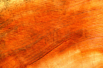 yellow stump wood texture and background