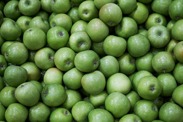 Green apple background, close-up. Healthy diet food 