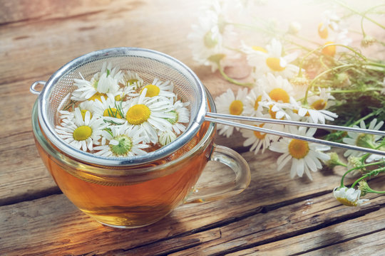 Daisy flowers in tea infuser and healthy chamomile herbal tea cup.