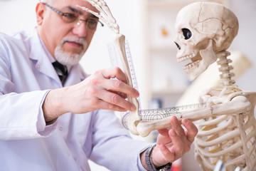 Aged male doctor with skeleton 