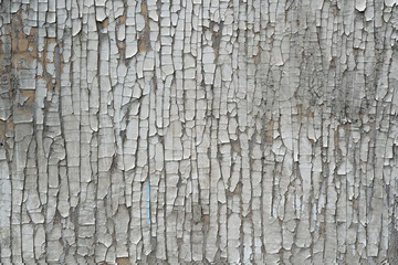 Obraz premium old wooden surface with peeling paint