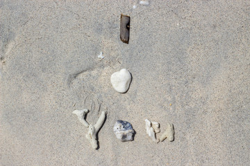 I love you written in corals, shells and sticks on the sand as a message of love for soul mate
