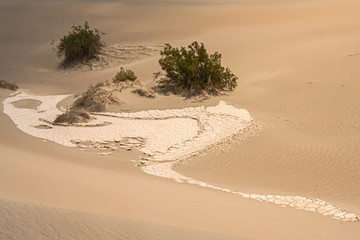 Mesquite Flat Sand Dunes, south california, death valley