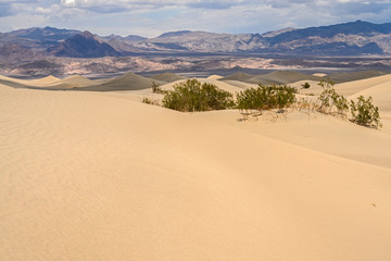 Fototapeta na wymiar Mesquite Flat Sand Dunes, south california, death valley