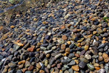 A landscape of wet pebbles near the shoreline