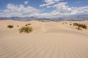 Mesquite Flat Sand Dunes, south california, death valley