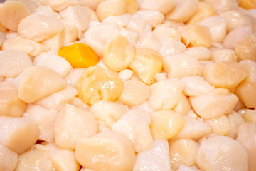 A background of fresh raw scallop meat