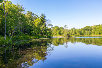 Trees reflected in the calm water of Gay City Pond in Hebron, Connecticut