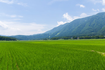 長野県白馬村の風景