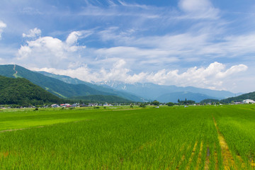 長野県白馬村の風景