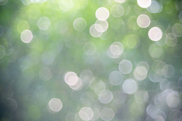 Abstract lights of green nature using as background or wallpaper concept.