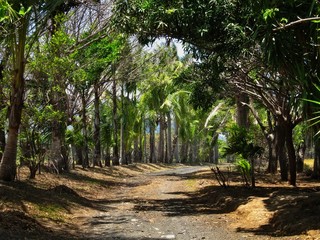 Off the beaten path....