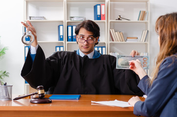Young woman visiting male lawyer 