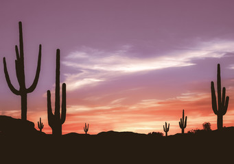 Southwest Desert – Aged Colorful Sunset in Wild West Desert of Arizona with Cactus