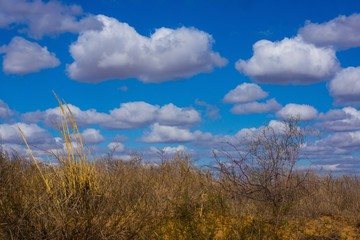 The extraordinary landscape of the steppes of Kalmykia. Over the boundless steppe float bizarre Cumulus clouds.