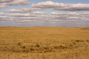 Fototapeta na wymiar The extraordinary landscape of the steppes of Kalmykia. Over the boundless steppe float bizarre Cumulus clouds.
