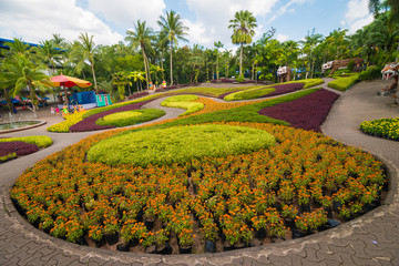 Colourful botanical flower garden