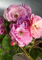 Rosas salvajes en colores pastel 