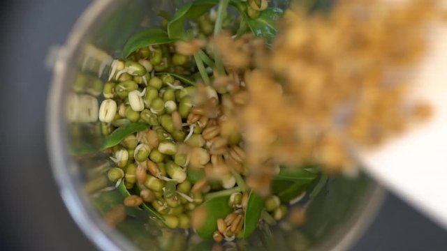 Making fresh detox smoothie with green ingredients. Herbs, microgreens, wheat sprouts and mung beans. A blender jar top view. Healthy Eating, A raw food diet,  Superfoods, Weight Loss