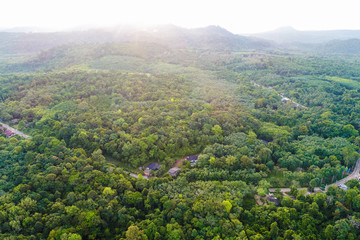 Naklejka premium Green tree tropical rainforest on sea island