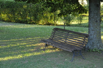 The bench