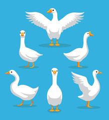 White Goose Poses Cartoon Vector Illustration © bullet_chained