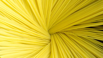 Raw Spaghetti Lines, Ingredients for cooking. Blank for design, food concept.