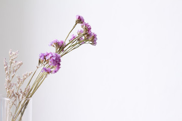 Purple dry flower with copy space on white background.