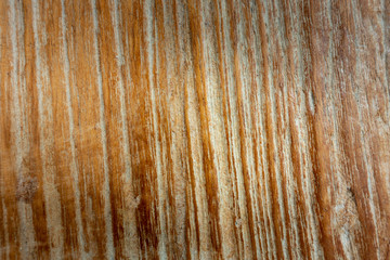 Vintage old wooden surface background in warm tone.