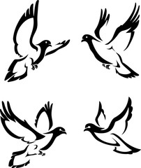 Dove Abstract Line Art