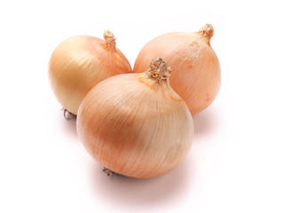 タマネギ/美幌　北海道　日本