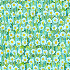 Seamless summer pattern of white chamomiles on the grass. Colorful background in the form of a flower glade.