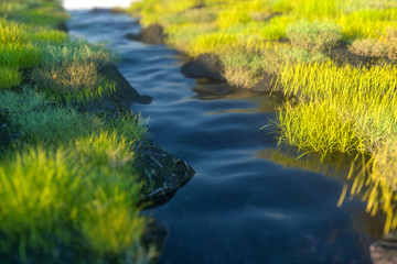 Naklejka premium The river between the mountains in a sunny day, 3d rendering