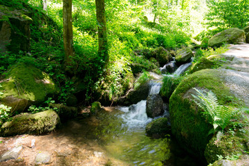 Gaish&ouml;llwasserf&auml;lle bei Sasbachwalden im Schwarzwald