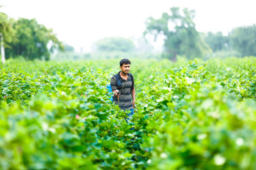 indian farmer spraying pesticide at cotton field