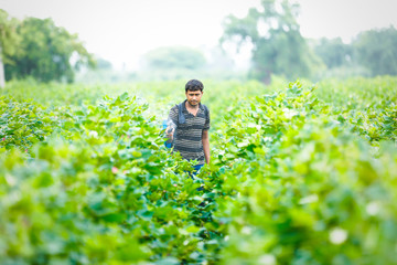 indian farmer spraying pesticide at cotton field