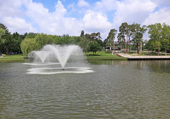 Fountains in the pond next to a woods