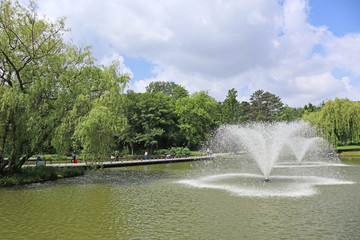 Woods with pond and fountains