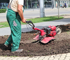 Gardener works with a cultivator
